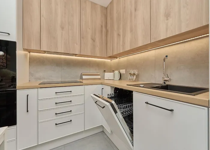 River View With Balcony & Free Garage By Renters * Wroclaw